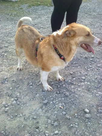 Pia8 Pia8