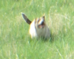 06042014 023
