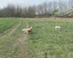 06042014 040