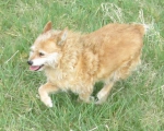 06042014 049