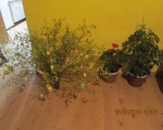 20042014 002