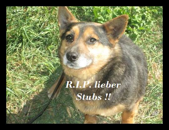 RIP Stubs