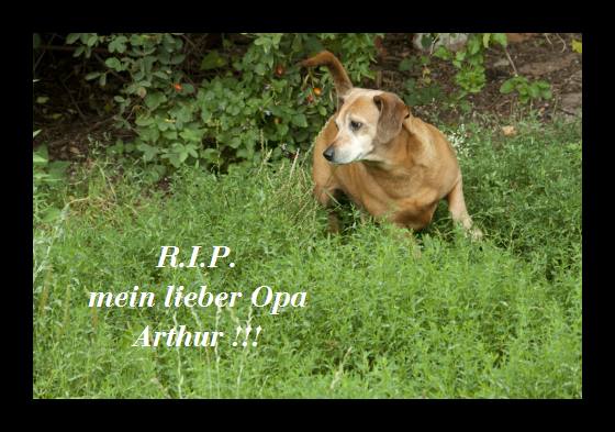 arthur RIP